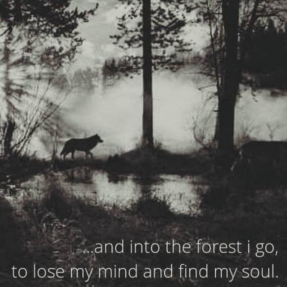 Meet your Posher, Sherry - Picture 1 of 1